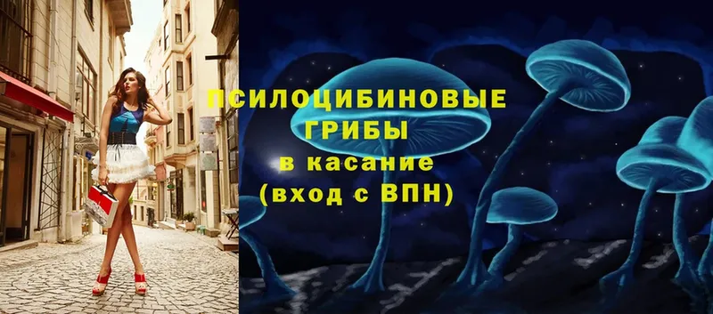 Галлюциногенные грибы Cubensis  закладка  Костерёво 